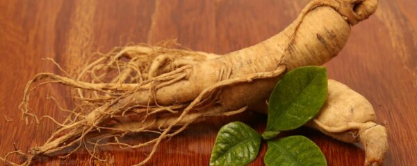 choisir du ginseng