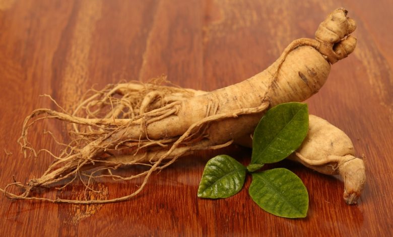 choisir du ginseng