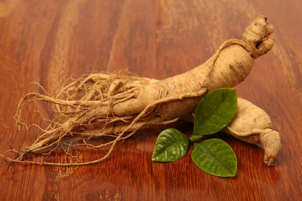 choisir du ginseng