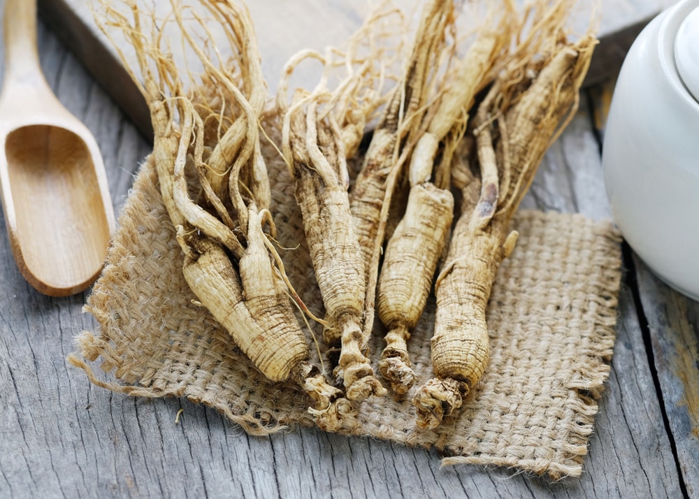 efficacité du ginseng