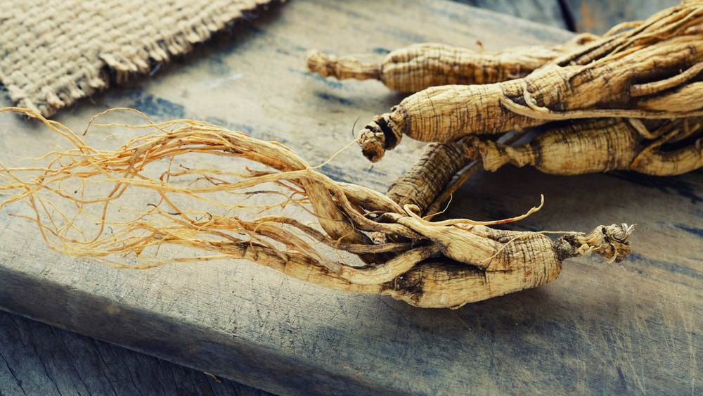 histoire du ginseng