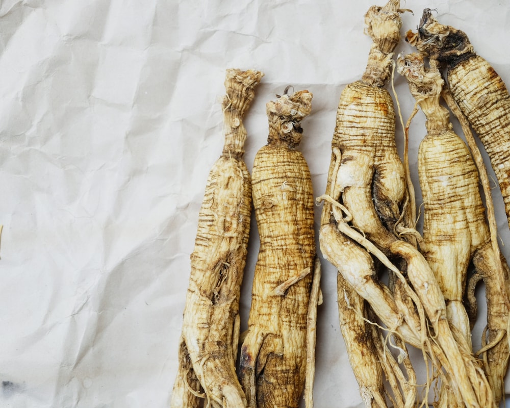les variétés de ginseng