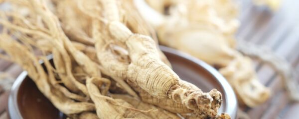 ginseng blanc et ginseng rouge