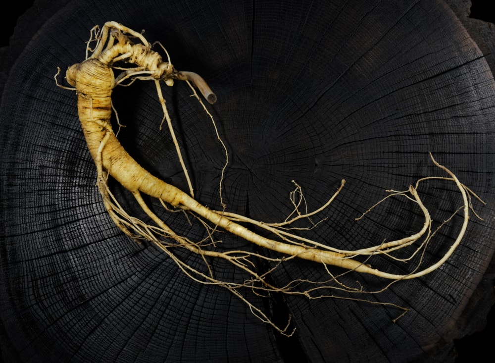 critères de choix du ginseng