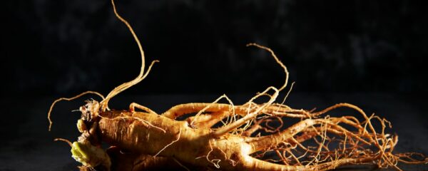 histoire du ginseng