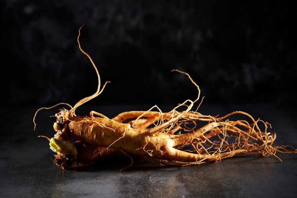 histoire du ginseng