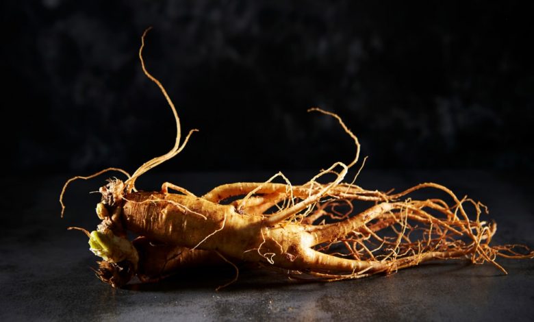 histoire du ginseng