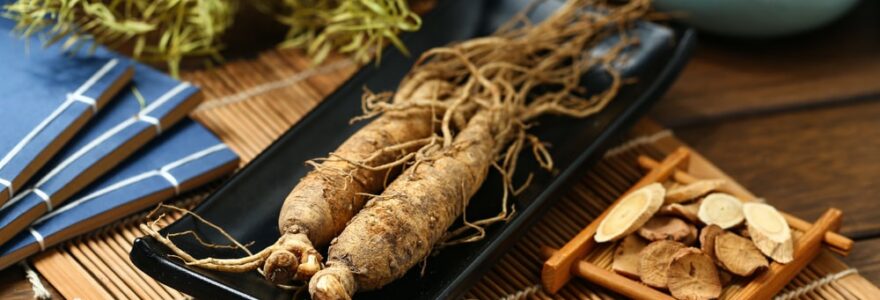 propriétés du ginseng