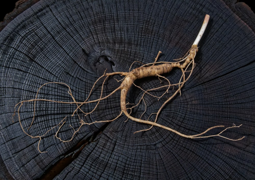 contre-indication ginseng
