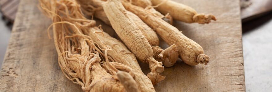 Ginseng et convalescence