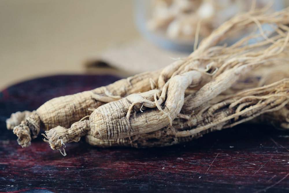 principes actifs du ginseng