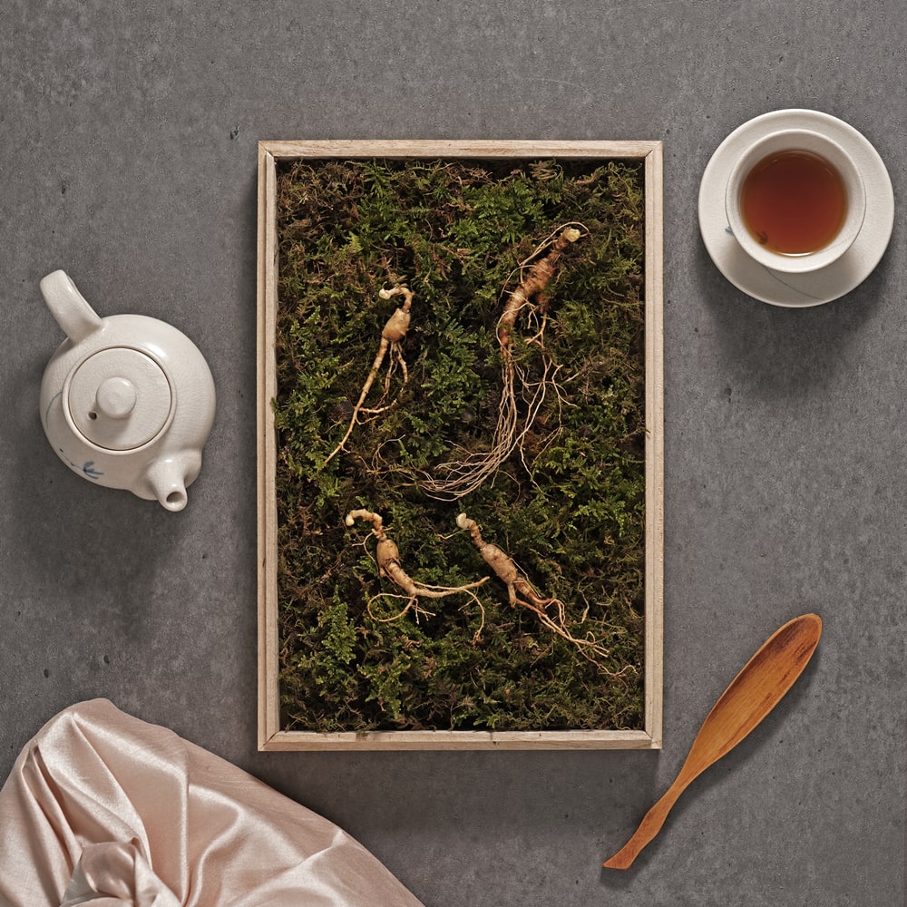 Ginseng et grossesse